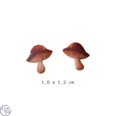 Halloween & Herfst Oorstekers