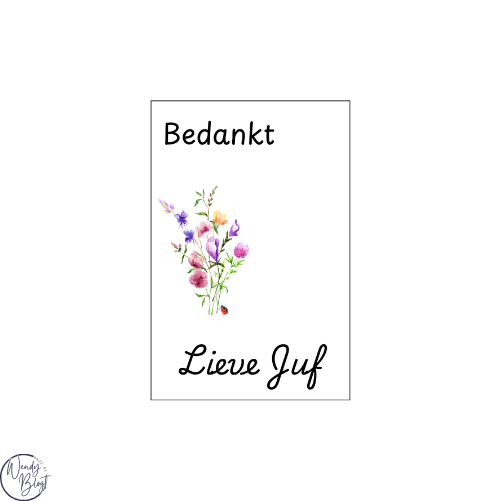 Sleutelhanger kaart Bedankt Juf / Meester