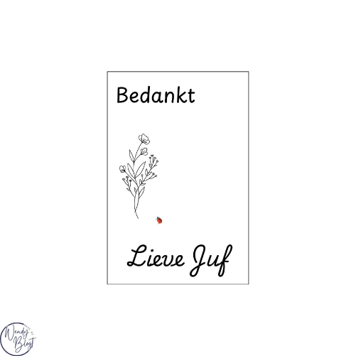 Sleutelhanger kaart Bedankt Juf / Meester