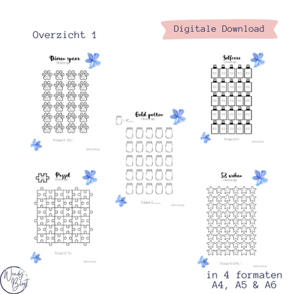 41 spaarchallenges A4,A5,A6 en A6 binder